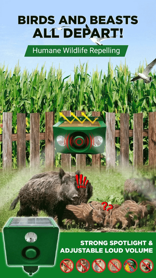 BUY 1 GET 1 FREE – High-Intensity Solar Predator Deterrent Lights for Maximum Protection