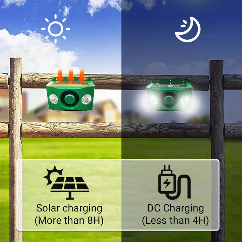 BUY 1 GET 1 FREE – High-Intensity Solar Predator Deterrent Lights for Maximum Protection