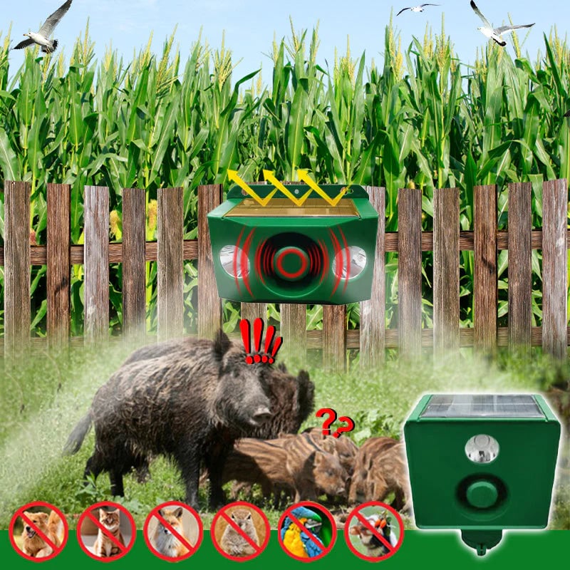 BUY 1 GET 1 FREE – High-Intensity Solar Predator Deterrent Lights for Maximum Protection